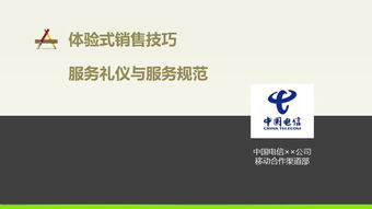 電信營業(yè)廳手機(jī)體驗(yàn)式銷售技巧與服務(wù)規(guī)范