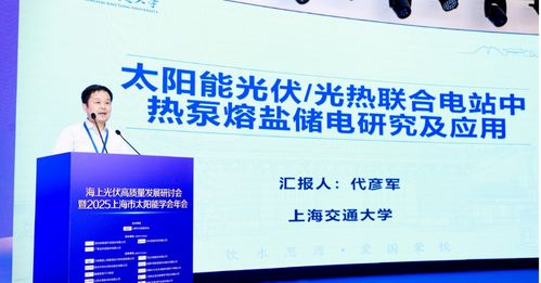 海上光伏高質量發展研討會暨2025上海市太陽能學會年會順利召開